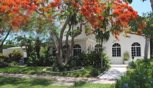 single family home with beautiful trees original